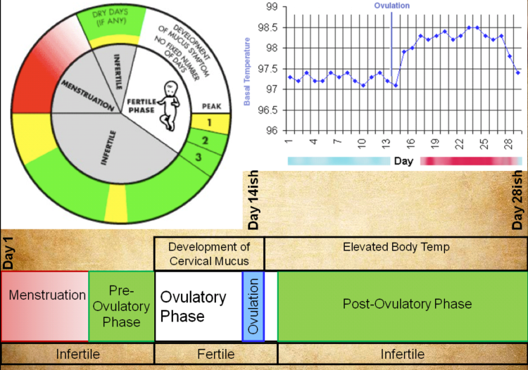 Natural Family Planning Roman Catholic Parishes of NW Allegany County